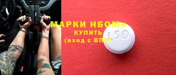 гашик Алексин