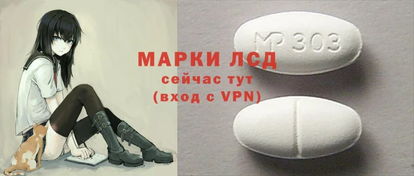 гашик Алексин