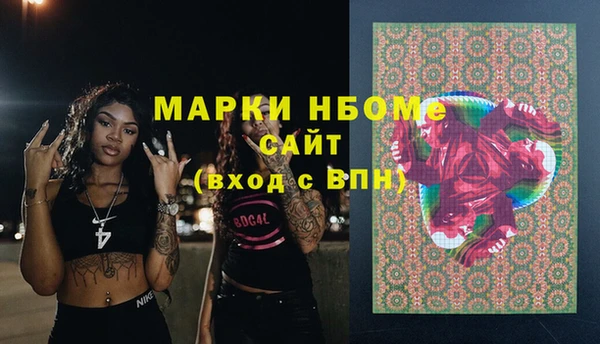 гашик Алексин