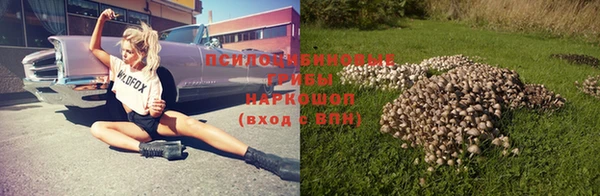 эйфоретик Алексеевка