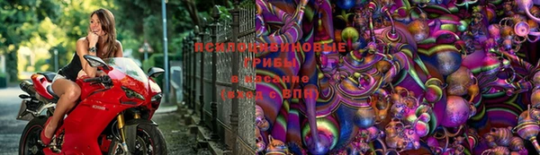 эйфоретик Алексеевка