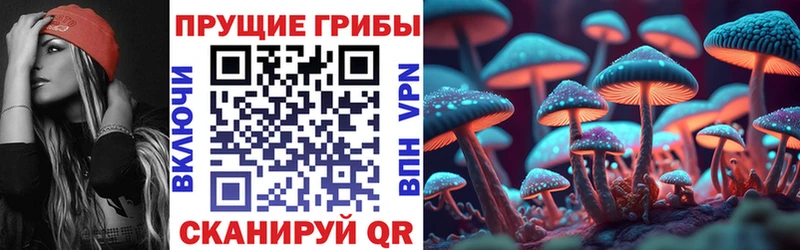 blacksprut   Кашин  Галлюциногенные грибы прущие грибы  что такое  